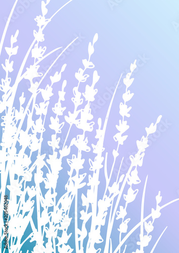 Vertical postcard with lavender flowers, gradient background