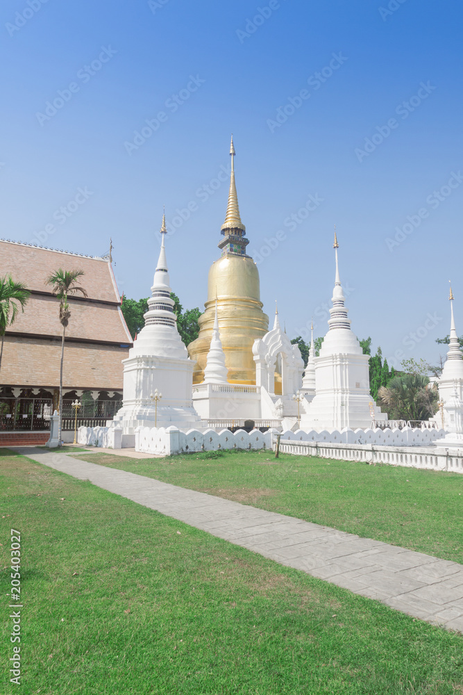 Suan dok temple beautiful temple in chiangmai,Thailand Suan dok temple beautiful temple in chiangmai,Thailand