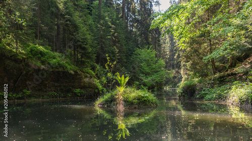 Travel destination Kirnitzschtal at the Saxon Switzerland in Germany 