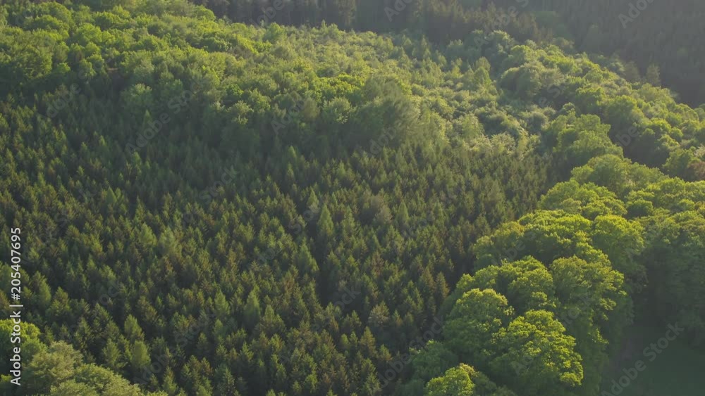 Aerial Drone 4k - sunny Nature Landscape Summer - flying over forest Aerial Drone 4k - sunny Nature Landscape Summer - flying over forest
