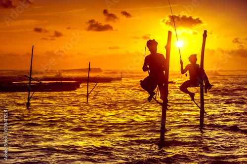 The laconic silhouettes of the fishermen sitting on their stilts waiting for swarms of fish that will pass their stilts in the shallow water. Amazing golden sunset over the Indian Ocean. Sri Lanka.