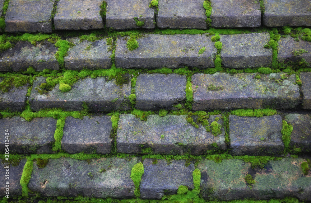 Background of stone wall with green moss Background of stone wall with green moss