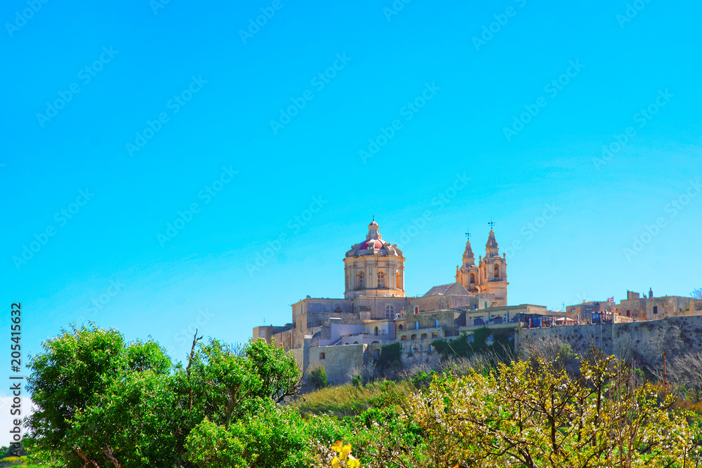 Skyline of Mdina with St Paul Cathedral in Malta