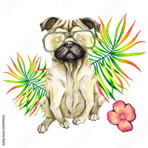 Naklejka na ścianę Mopsa pies w okularach przeciwsłonecznych, palmy i kwiatu liściach odizolowywających na białym tle