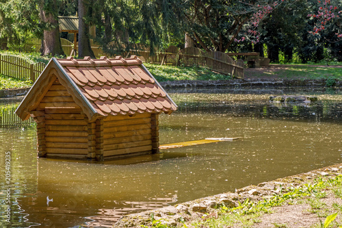 house on lake for water birds