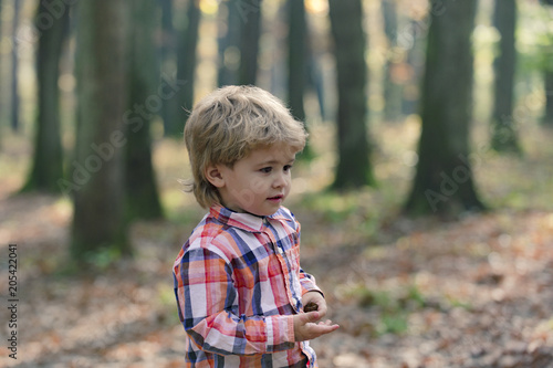 Cute little kid boy enjoying autumn day. Preschool child in colorful autumnal clothes having fun in garden or park on warm sunny day