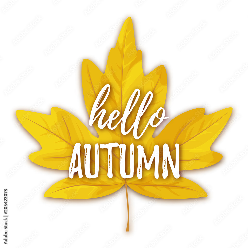 Fototapeta premium Vector illustration, Autumn greeting card