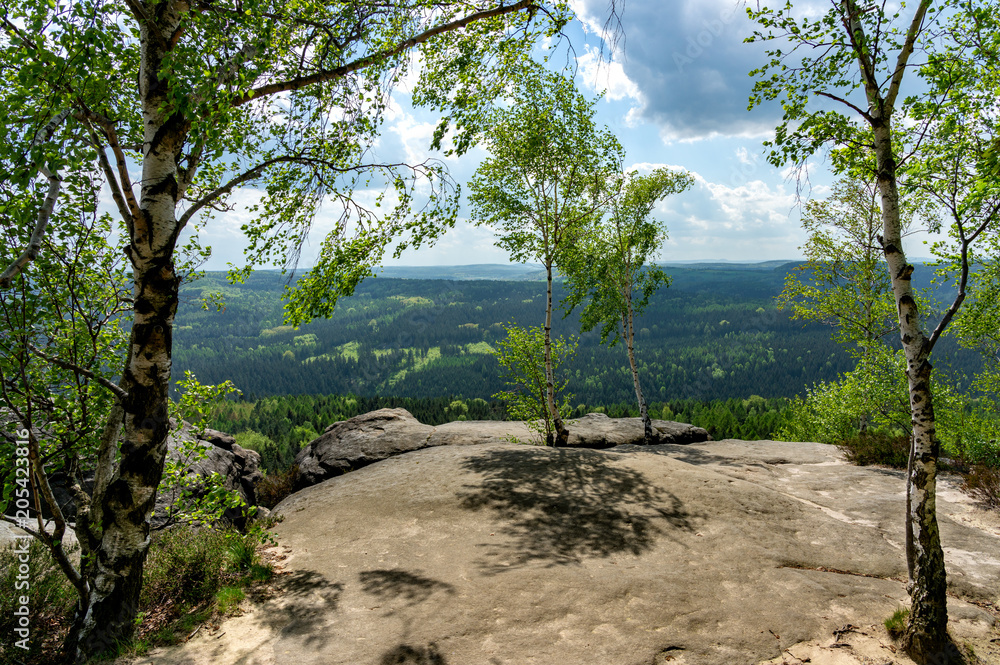 Plateau auf dem Pfaffenstein