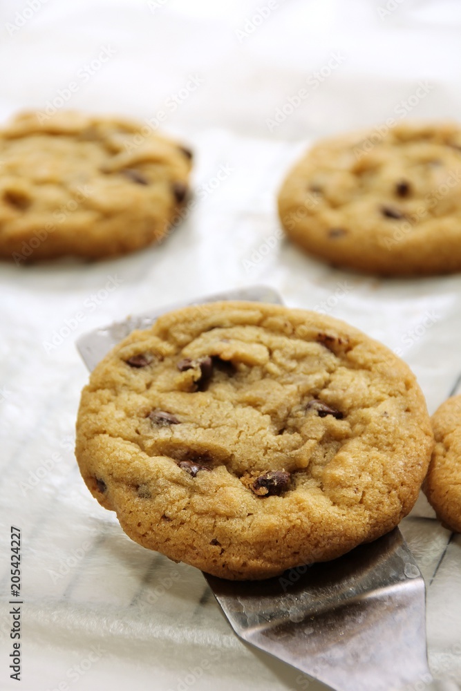 Homemade Soft and chewy Chocolate chip cookies, selective focus