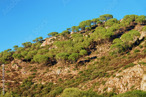 Scenery with mountains Cagliari province Sardinia
