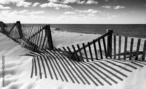 Fotografie Pathwayway through to the beach in black and white