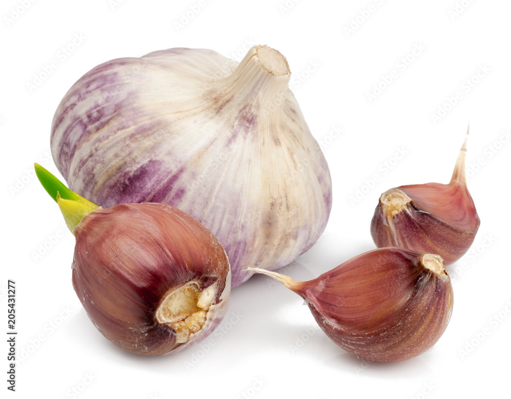 Fototapeta premium garlic isolated on white background