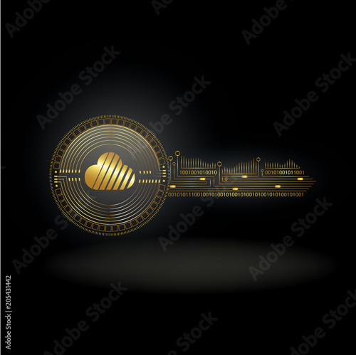 SkyCoin Cryptocurrency Coin Private Key Background