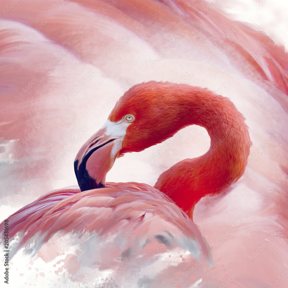 Fototapeta Malarstwo akwarela flamingo