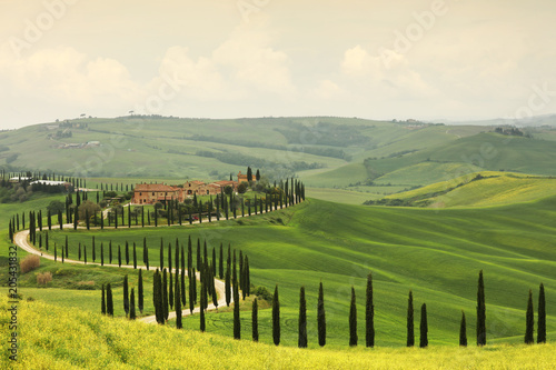 Summer landscape in Tuscany  Italy  Europe