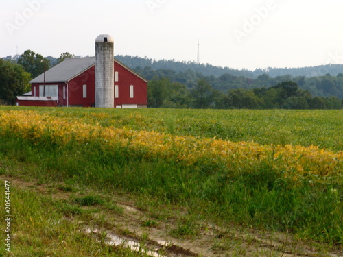 Pennsylvania Picts. #1