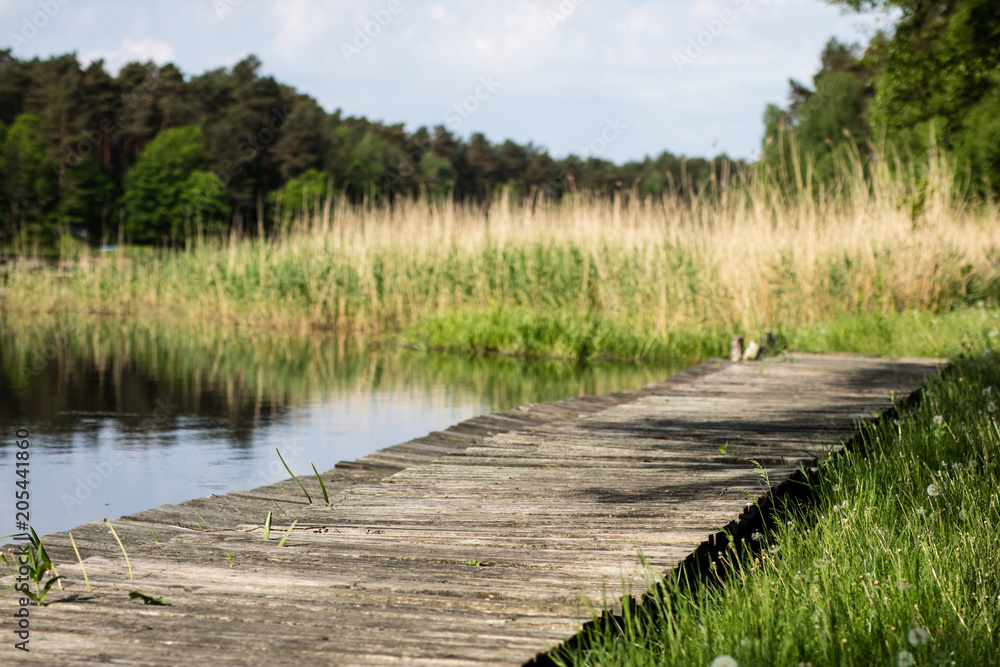 A winding wooden bridge in the forest. A forest path leading across a bridge in a dendrological park. A winding wooden bridge in the forest. A forest path leading across a bridge in a dendrological park.