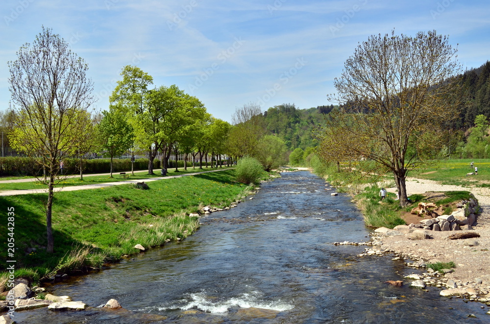 Dreisam in Freiburg im Frühjahr Dreisam in Freiburg im Frühjahr