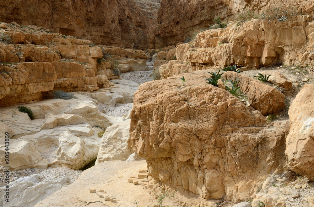 Wadi Murabba'at canyon ( Nahal Darga) ,Judean desert, Israel,Middle East