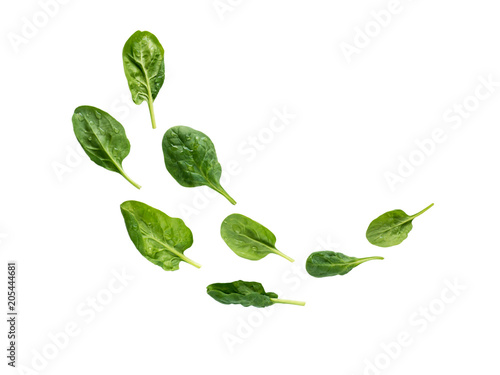 Flying heap of green spinach leaves