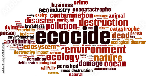 Ecocide word cloud