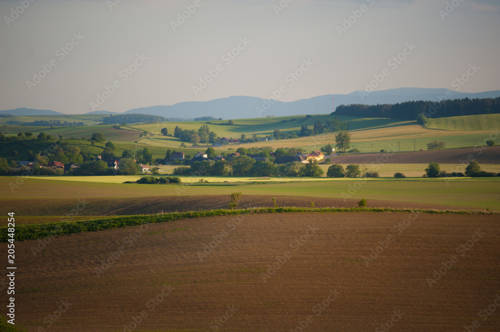 Obraz premium landscape with wheat field and blue sky