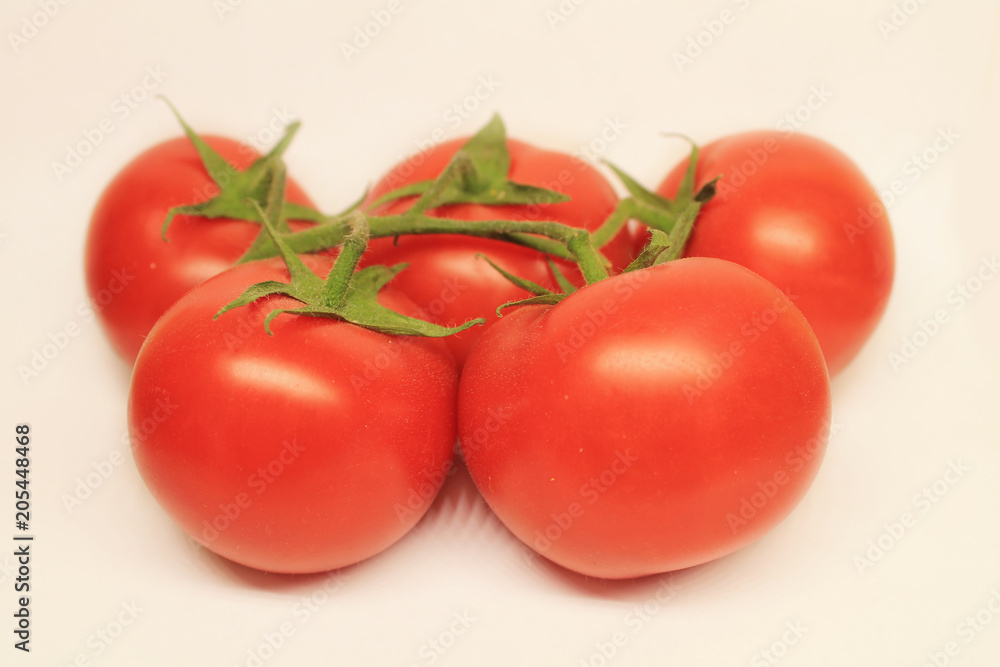 red tomatoes background. Group of tomatoes red tomatoes background. Group of tomatoes