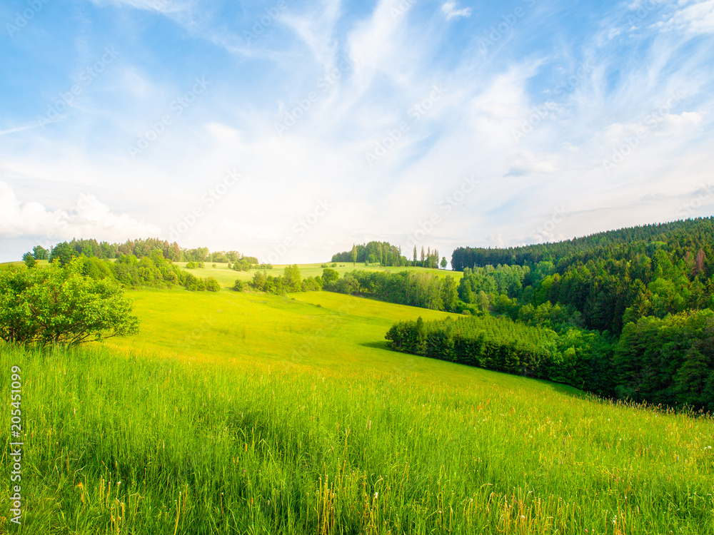 Summer landscape with lush green meadows, forest, blue sky, white clouds and bright shining sun, Czech Republic.