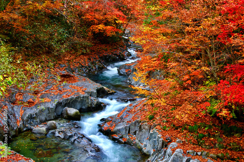 秋の中津川渓谷（猪苗代町・北塩原村）