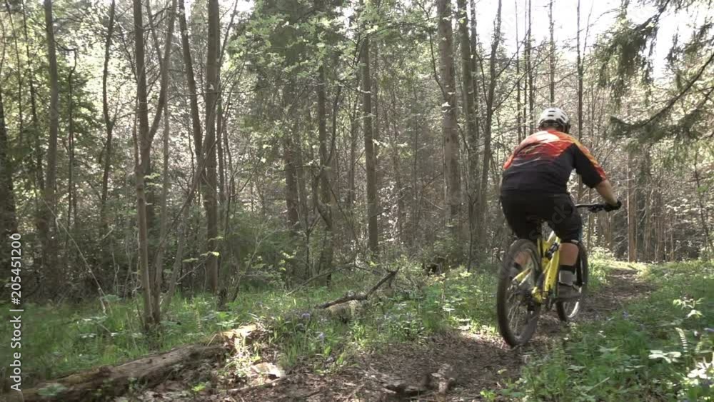 A mountain biker is riding a bicycle by a forest bicycle, slow-motion shooting A mountain biker is riding a bicycle by a forest bicycle, slow-motion shooting