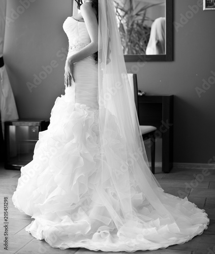 Wedding. Bride in beautiful dress