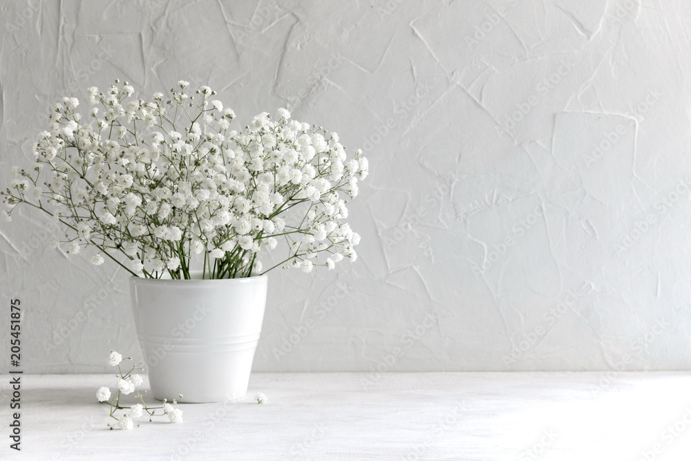 Small white flowers on a white background. Soft home decor. Gypsophila  flowers. White flowers in a vase. Retro style. Stock Photo | Adobe Stock