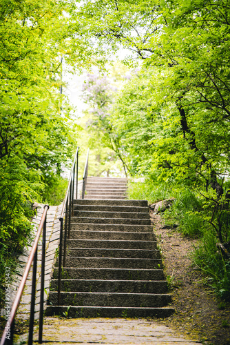 Path up to Observatoriekullen in Stockholm Sweden. Beautiful paths up to an extraordinary view of Stockholm and its skyline. Very green and flourishing during summer. photo