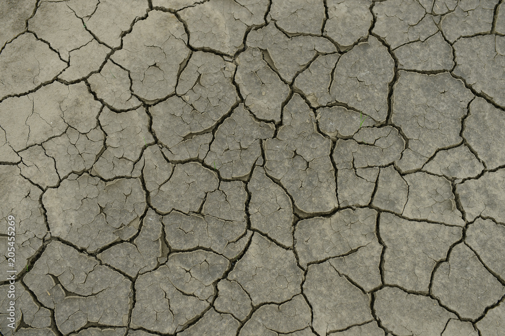 The parched soil