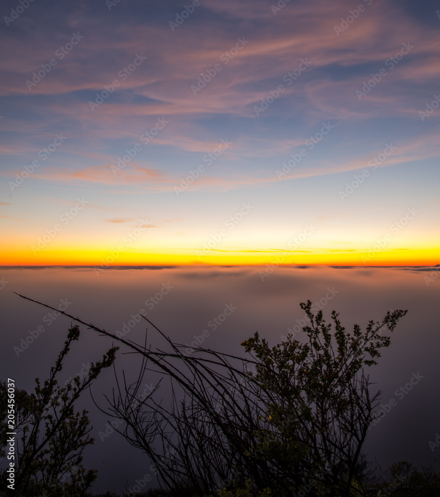 Fototapeta premium Fog rolling over East Bay 2015 -2