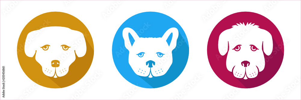 Obraz premium Color dogs set