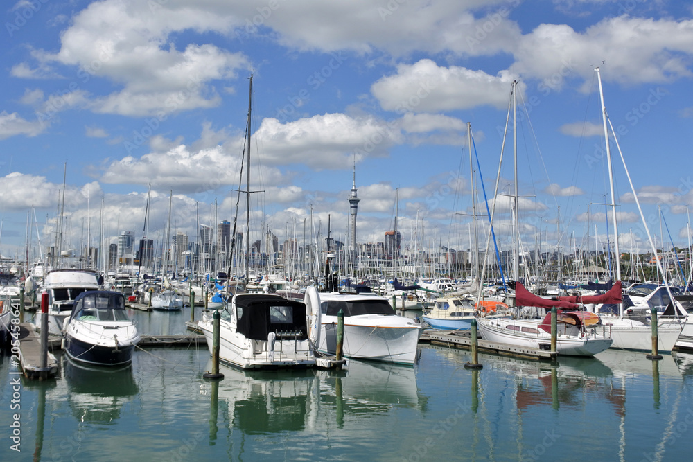 Yachtes mooring in Westhaven Marina against Auckland skyline