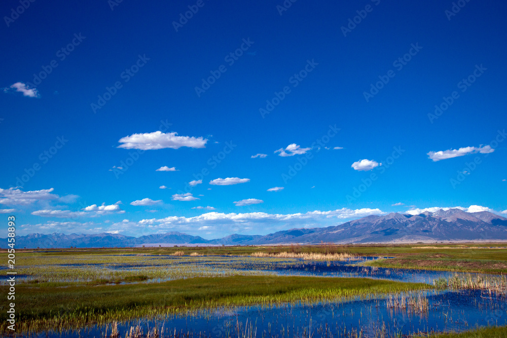 Wide-angle view of the beautiful marsh in Alamosa National Wildlife Refuge, showing Blanca Mountain, which is part of the Sangre de Cristo range of the Rocky Mountains in southern Colorado