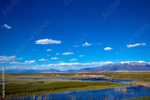 Wide-angle view of the beautiful marsh in Alamosa National Wildlife Refuge  showing Blanca Mountain  which is part of the Sangre de Cristo range of the Rocky Mountains in southern Colorado
