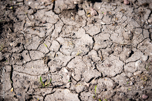Cracked earth drought dry soil the dry ground. Climate change concept.