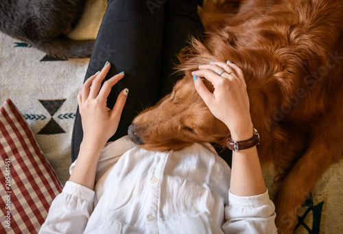 Stroking the head of a golden hound
