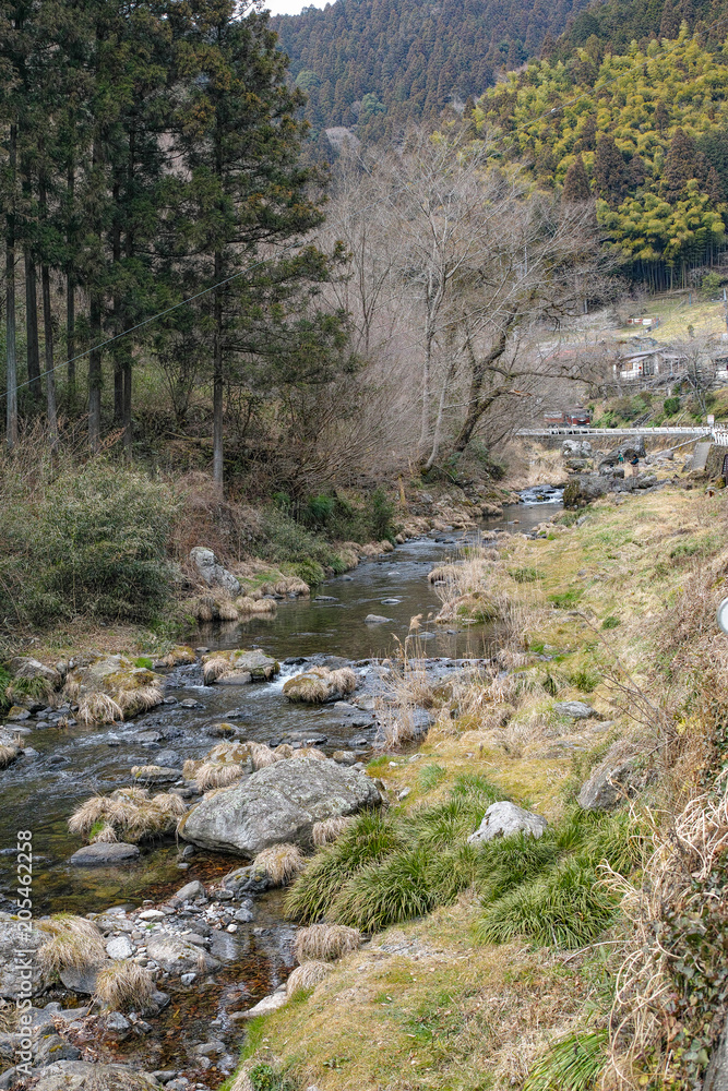 里山の渓流