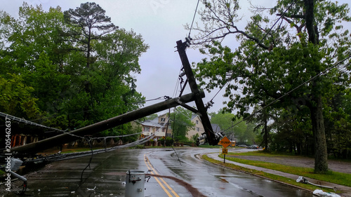 transformer on a pole and a tree laying across power lines over a road after Hurricane moved across photo