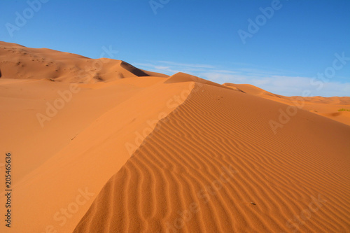 サハラ砂漠 © TDMMR