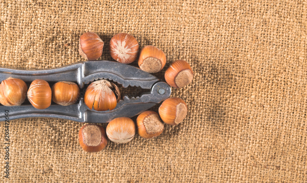 Hazelnuts with a nut cracker on sackcloth background