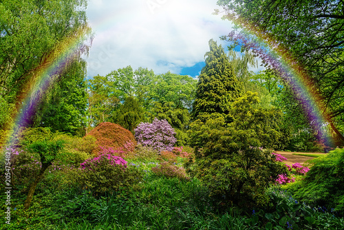 Beautiful  garden.  city park with rainbow