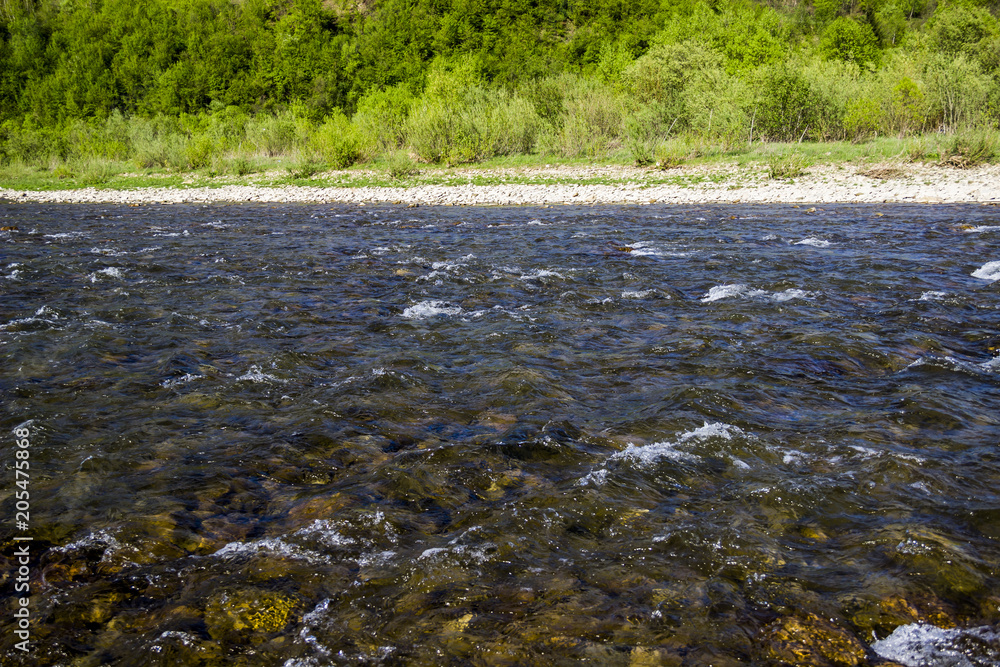 river Striy at the Carpathian mountains river Striy at the Carpathian mountains