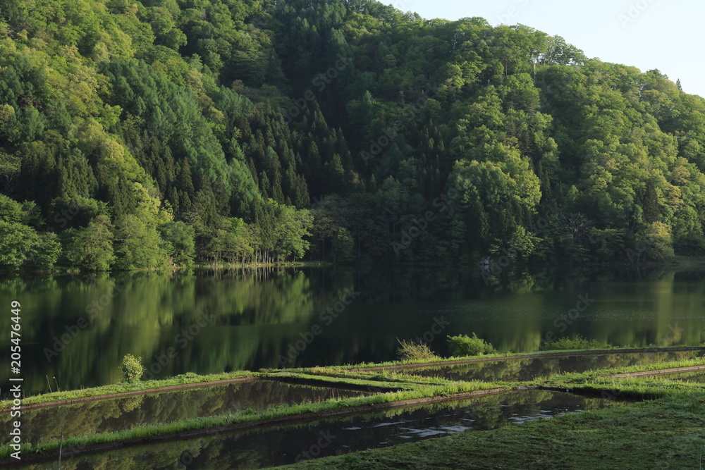 長野県 大町市 中綱湖 長野県 大町市 中綱湖