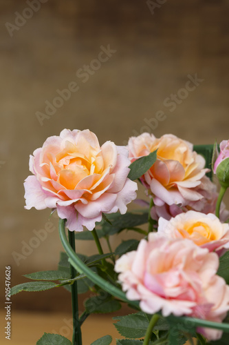 Orange rose flower plant bouquet isolated on a wooden brown blurred background