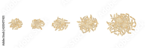 Realistic Vector Rice Isolated